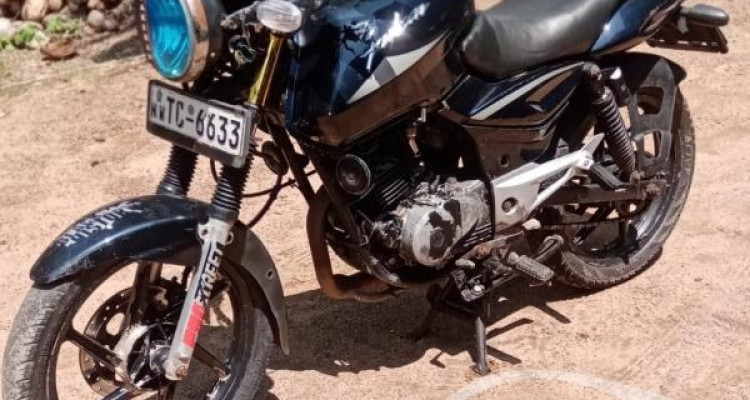 Pulsar on sale 2006 model