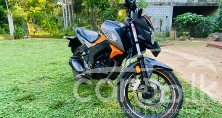 Honda hornet new arrivals 169r