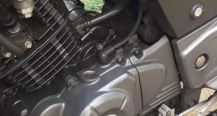 BAJAJ PULSAR 150 2019