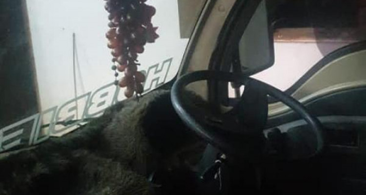 TATA ACE 2012