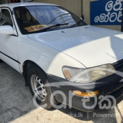 TOYOTA COROLLA 1996