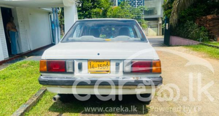 NISSAN SUNNY 1982