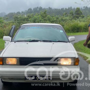 NISSAN SUNNY 1989