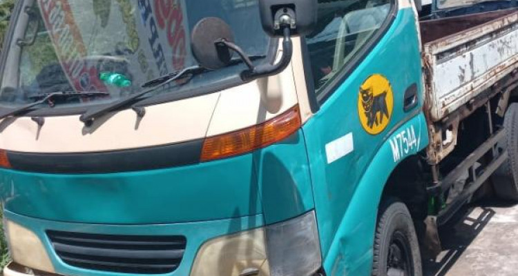 TOYOTA DYNA 1991