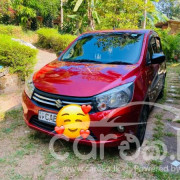 SUZUKI CELERIO 2014