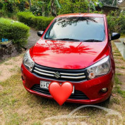 SUZUKI CELERIO 2014