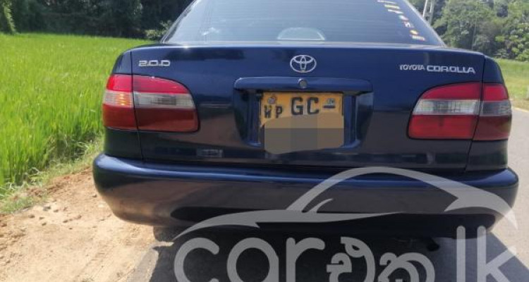 TOYOTA COROLLA 2001