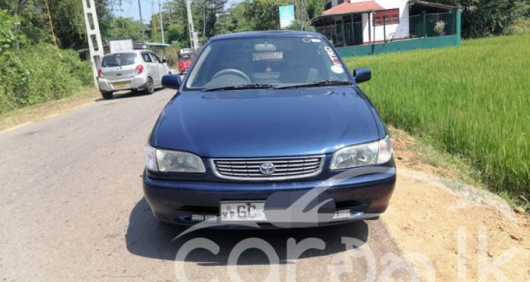 TOYOTA COROLLA 2001