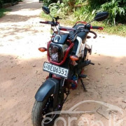 HONDA NAVI 2017