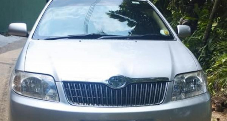 TOYOTA FIELDER 2005