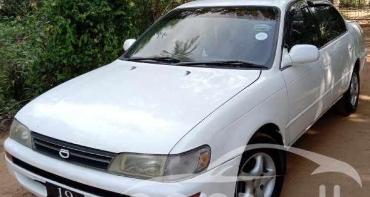 TOYOTA COROLLA AE100 1991