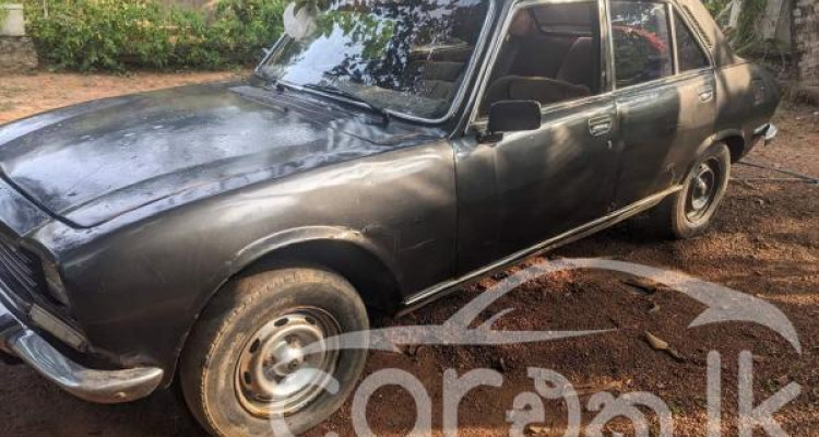 PEUGEOT 504 1974