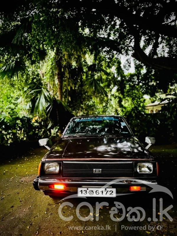 NISSAN SUNNY B310 1980