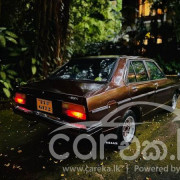 NISSAN SUNNY B310 1980