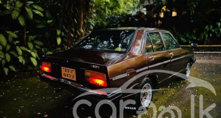 NISSAN SUNNY B310 1980