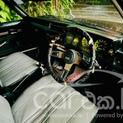 NISSAN SUNNY B310 1980