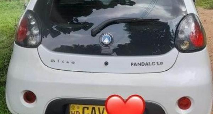 MICRO PANDA 2017