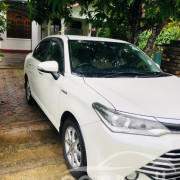 TOYOTA AXIO 2016
