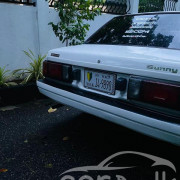 NISSAN SUNNY 1984
