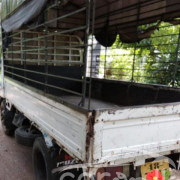 ISUZU ELF 1991