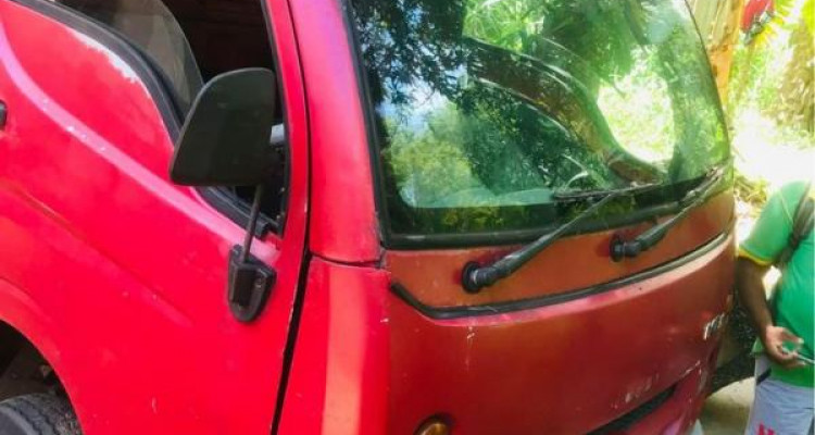 TATA ACE 2010