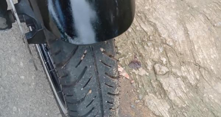 BAJAJ PULSAR 150 2016
