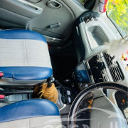 SUZUKI ALTO 2005