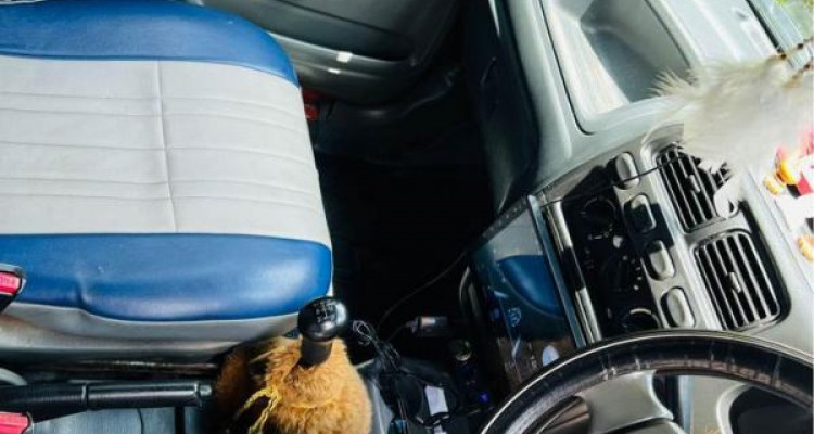 SUZUKI ALTO 2005