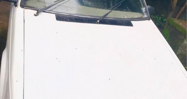 NISSAN SUNNY 1985