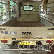 TATA ACE 2011