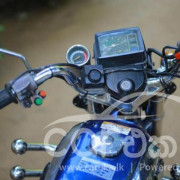 HONDA BENLY 1989