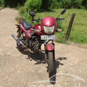 HONDA DREAM YUGA 2013