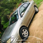 NISSAN BLUEBIRD 2001