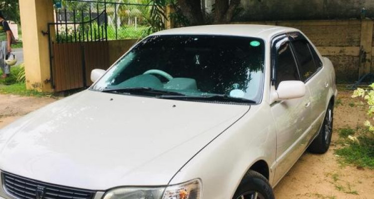 TOYOTA COROLLA 1998