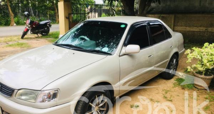 TOYOTA COROLLA 1998
