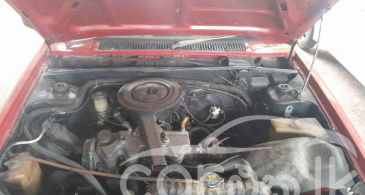 NISSAN SUNNY B11 1980