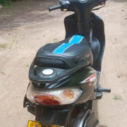 TVS WEGO 2015