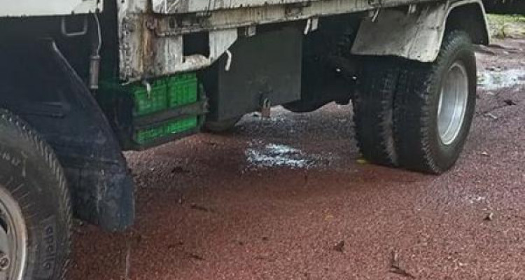 MITSUBISHI CANTER 1984