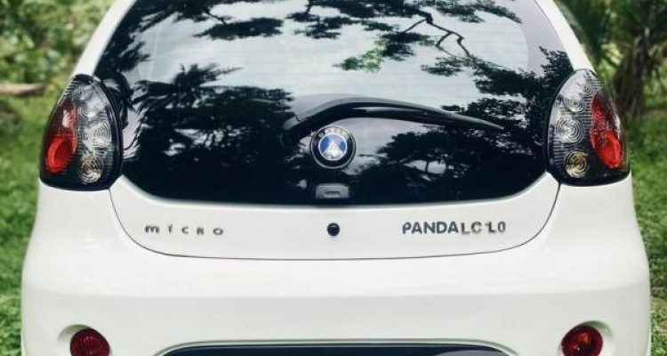 MICRO PANDA 2016