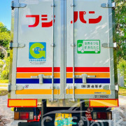 ISUZU ELF FREEZER 2010