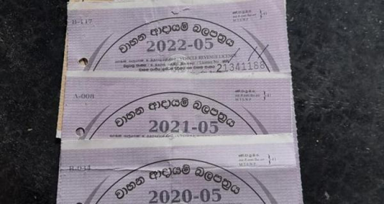 MICRO PANDA CROSS 2012