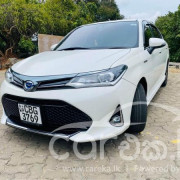 TOYOTA AXIO 2018