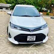 TOYOTA AXIO 2018