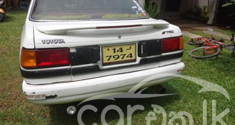 TOYOTA COROLLA 1984