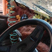TATA ACE 2008