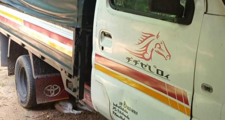CHANA LORRY 2007