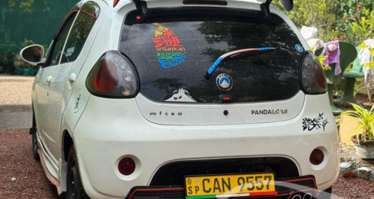 MICRO PANDA 2015