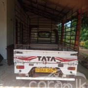 TATA DIMO LOKKA 2016