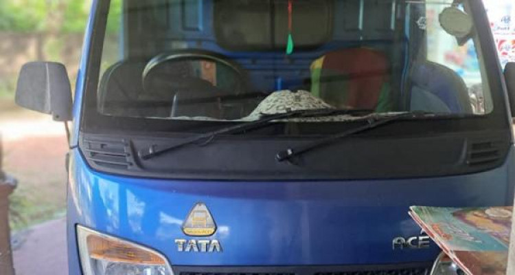 TATA ACE 2015