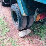 ISUZU ELF 1979